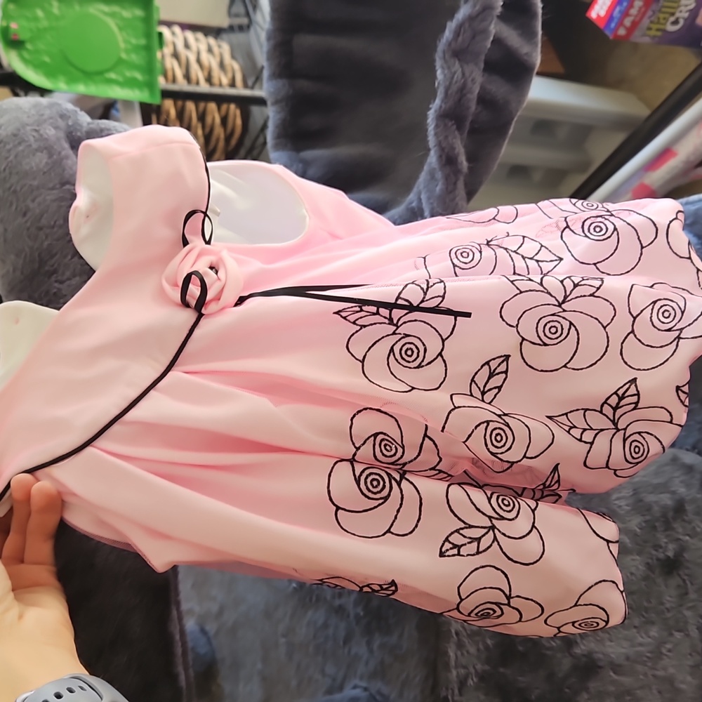 Baby. Girl holiday dress